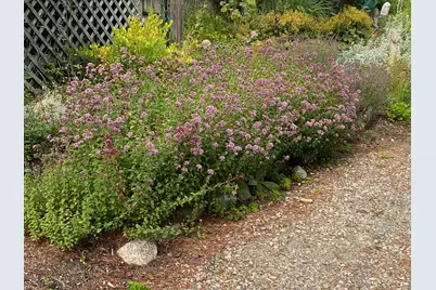 292 Main Street, Southwest Harbor, ME 04679 - Photo 48