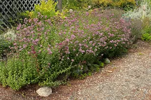 292 Main St, Southwest Harbor, ME 04679 - Photo 48