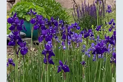 292 Main Street, Southwest Harbor, ME 04679 - Photo 46