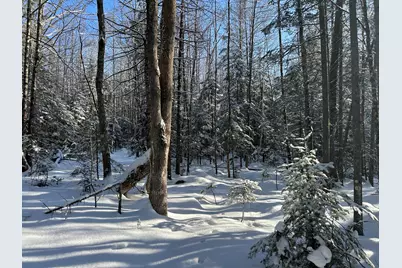 Lot A Holley Road, Farmington, ME 04938 - Photo 8