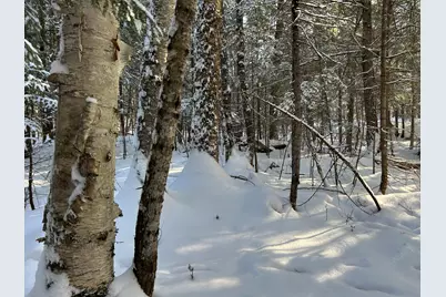 Lot A Holley Road, Farmington, ME 04938 - Photo 20
