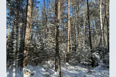 Lot A Holley Road, Farmington, ME 04938 - Photo 6
