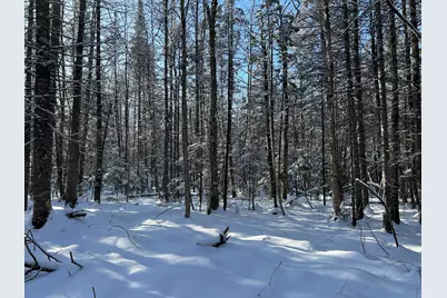 Lot A Holley Road, Farmington, ME 04938 - Photo 12