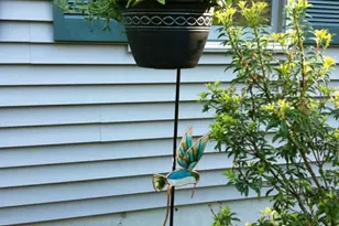 9 Woodcock Rd, Gray, ME 04039 - Photo 32