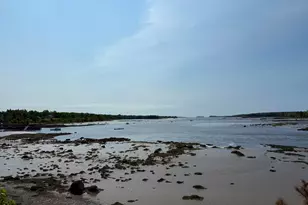 50 Ficketts Point Rd, Milbridge, ME 04658 - Photo 4