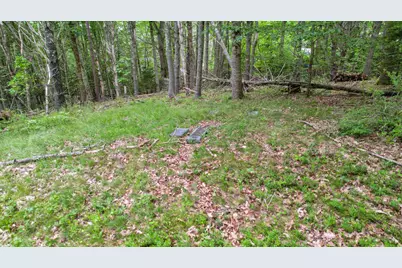 00 Front Ridge Road, Orland, ME 04472 - Photo 12