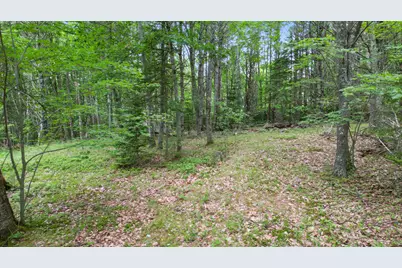 00 Front Ridge Road, Orland, ME 04472 - Photo 10