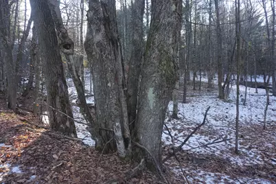 R-13-05.2 King Hill Road, Paris, ME 04271 - Photo 40