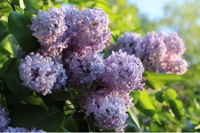 406 Pinnacle Road, Canaan, ME 04924 - Photo 38