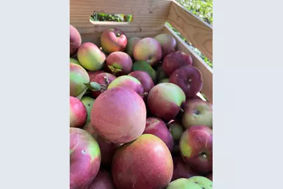 406 Pinnacle Road, Canaan, ME 04924 - Photo 34