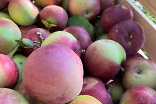 406 Pinnacle Rd, Canaan, ME 04924 - Photo 34