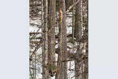 Map4Lot11 East Bucksport Road, Orrington, ME 04474 - Photo 8