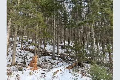 Map4Lot11 East Bucksport Road, Orrington, ME 04474 - Photo 10
