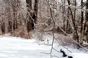 3 Kerry Gardens, Belfast, ME 04915 - Photo 16