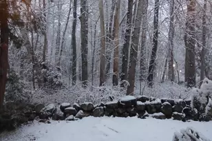 3 Kerry Gardens, Belfast, ME 04915 - Photo 18