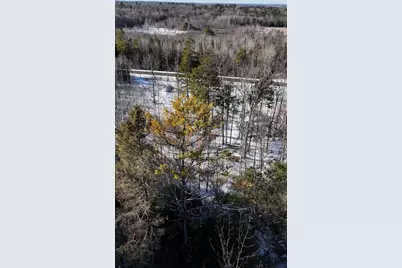 Map17Lot53 Grant Road, Orono, ME 04473 - Photo 12