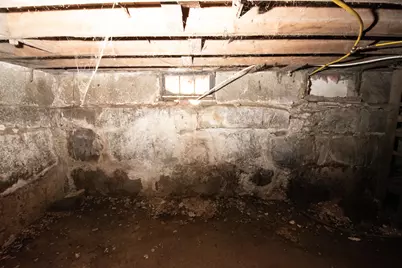 1153 Dexter Road, Dover Foxcroft, ME 04426 - Photo 46