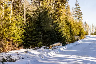 Lot 10 4R2 Pine Cone Lane, Surry, ME 04684 - Photo 6