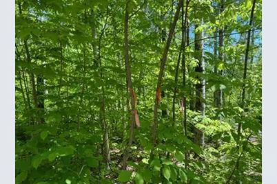 Map4Lot4B Off Conroy Road, Perham, ME 04766 - Photo 4