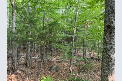 Lot 15-3B Sweden Road, Bridgton, ME 04009 - Photo 8