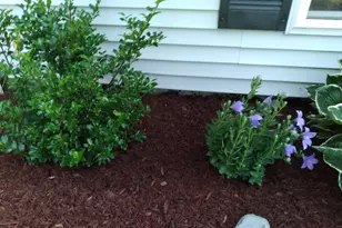 19 Pendleton Rd, Searsport, ME 04974 - Photo 36