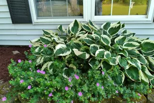 19 Pendleton Rd, Searsport, ME 04974 - Photo 36