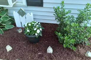 19 Pendleton Rd, Searsport, ME 04974 - Photo 32