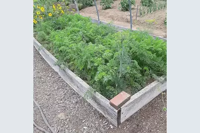 159 Moose Hill Road, Fayette, ME 04349 - Photo 64