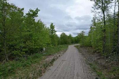 Lot 9 Final Drive, Springfield, ME 04947 - Photo 2