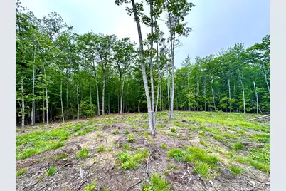 Lot 35A Norton Ridge Road, Shapleigh, ME 04076 - Photo 4