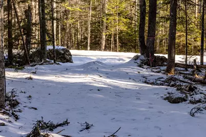 10-4M Forest Hill, Surry, ME 04684 - Photo 2
