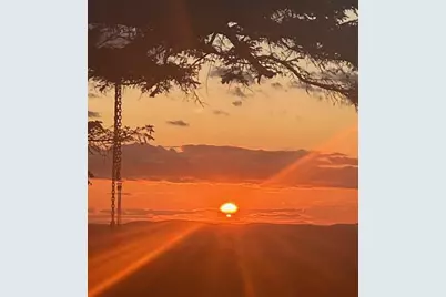 533 Mount Ephraim Map 4 Lot 63 Road, Searsport, ME 04974 - Photo 4