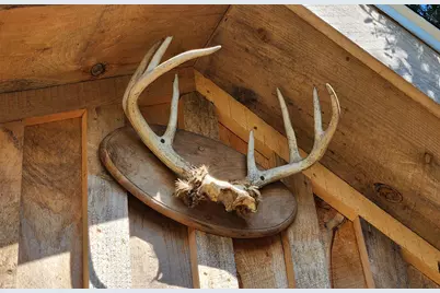 533 Mount Ephraim Map 4 Lot 63 Road, Searsport, ME 04974 - Photo 46