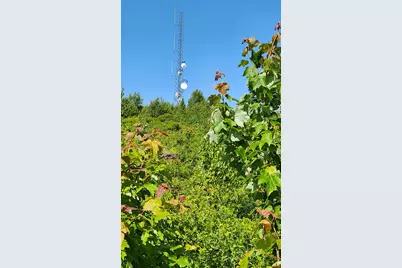 533 Mount Ephraim Map 4 Lot 63 Road, Searsport, ME 04974 - Photo 62