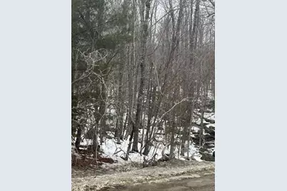 Map 109 Lot 16 Winkumpaugh Road, Ellsworth, ME 04605 - Photo 4