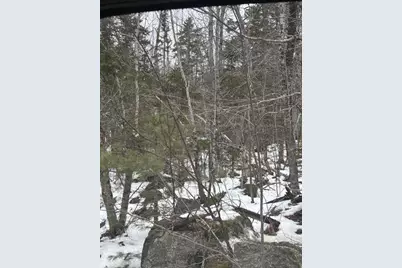 Map 109 Lot 16 Winkumpaugh Road, Ellsworth, ME 04605 - Photo 10