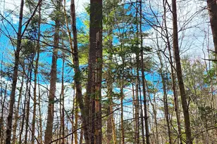10 Goose River Estates, Swanville, ME 04915 - Photo 24