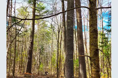 10 Goose River Estates, Swanville, ME 04915 - Photo 26