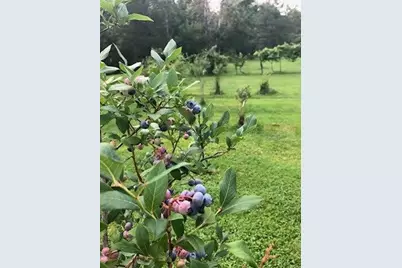 4 Abbi Lane, Scarborough, ME 04074 - Photo 20