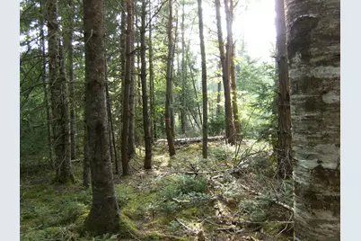 Map7 Lot57 Manhanock Pond, Sangerville, ME 04479 - Photo 12