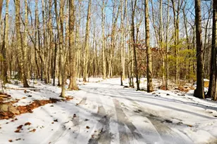 61 M Ln, Lyman, ME 04002 - Photo 38