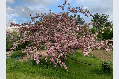 42 Fowler Road, Orrington, ME 04474 - Photo 46