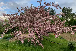 42 Fowler Rd, Orrington, ME 04474 - Photo 46