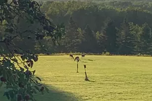 42 Fowler Rd, Orrington, ME 04474 - Photo 52