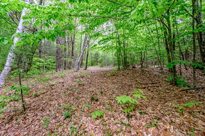 217 Chamberlain Road, Brownfield, ME 04010 - Photo 140