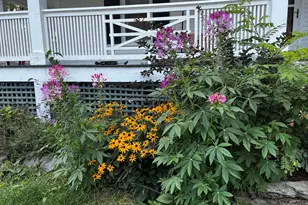 15 North St, Dixfield, ME 04224 - Photo 6