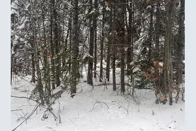 291 New Sweden Road, New Sweden, ME 04762 - Photo 2