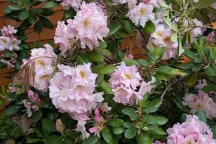 59 Webber Hill Rd, Kennebunk, ME 04043 - Photo 48