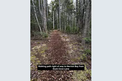 0 Flye Point #Lot 3, Brooklin, ME 04616 - Photo 4