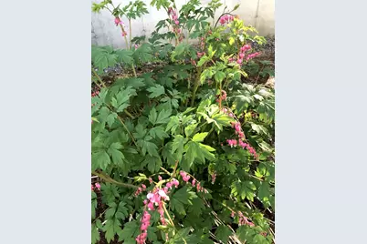 125 Ridgeview Drive, Veazie, ME 04401 - Photo 46